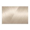 Eugene Carmen Rituel Tinte Sin Amoniaco 10. 01 Platino Natural Ceniza Ref. 21040332