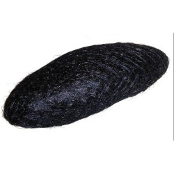 Eurostil Relleno Moño...