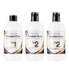 Exclusive Passion Y Color Passionex Kit (n.1 / N.2 / N.2+)  3x500 Ml.    Ref. 11204