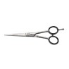 Jaguar Tijera Satin Plus 6 Pulgadas  15.5 Ctm. Ref. T20w4760
