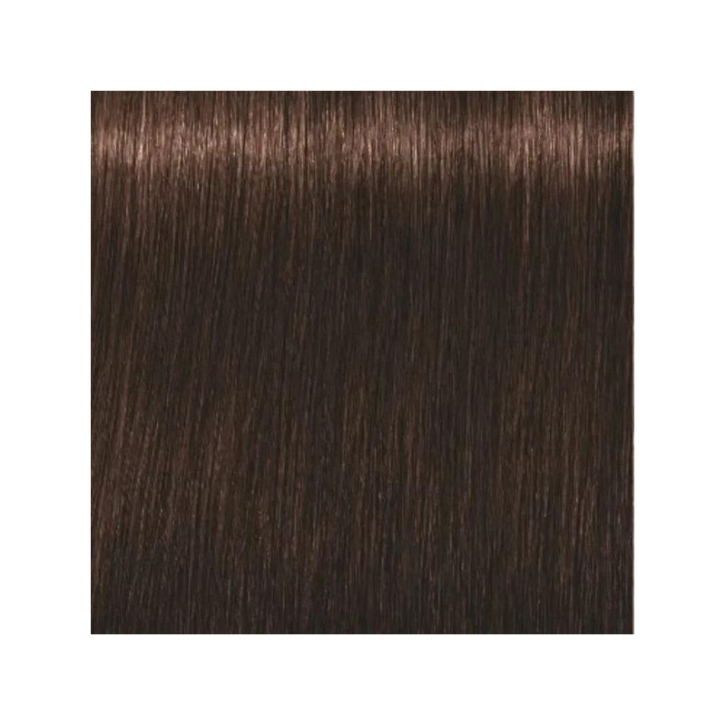 Schwarzkopf Igora Royal  4. 6 Castaño Medio Marrón