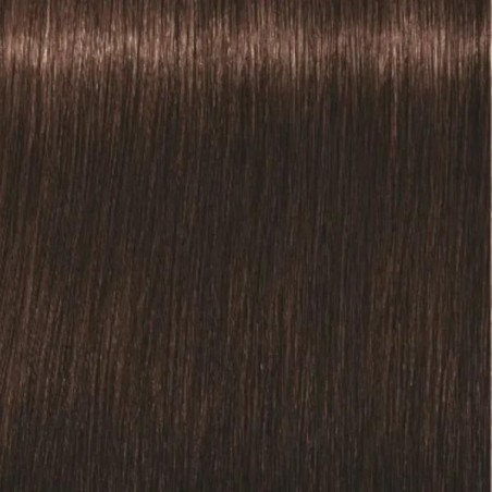 Schwarzkopf Igora Royal  4. 6 Castaño Medio Marrón