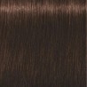 Schwarzkopf Igora Royal  4. 6 Castaño Medio Marrón