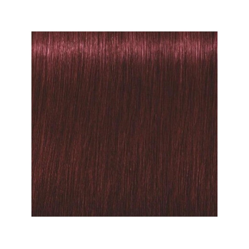 Schwarzkopf Igora Royal  4.88 Castaño Medio Rojo Intenso