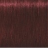 Schwarzkopf Igora Royal  4.88 Castaño Medio Rojo Intenso