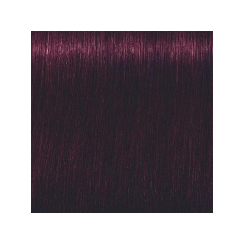Schwarzkopf Igora Royal  4.99 Castaño Medio Violeta Intenso