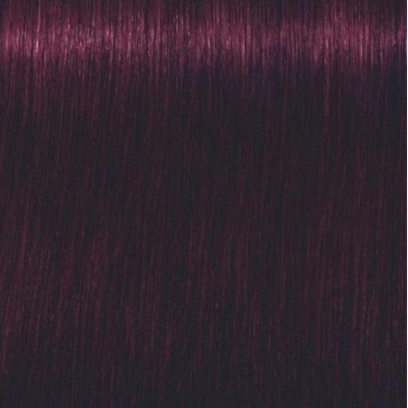 Schwarzkopf Igora Royal  4.99 Castaño Medio Violeta Intenso