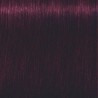 Schwarzkopf Igora Royal  4.99 Castaño Medio Violeta Intenso