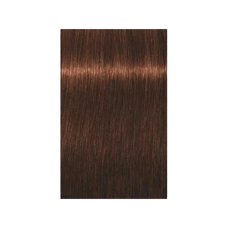 Schwarzkopf Igora Royal  5. 7 Castaño Claro Cobrizo