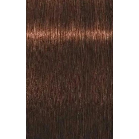 Schwarzkopf Igora Royal  5. 7 Castaño Claro Cobrizo