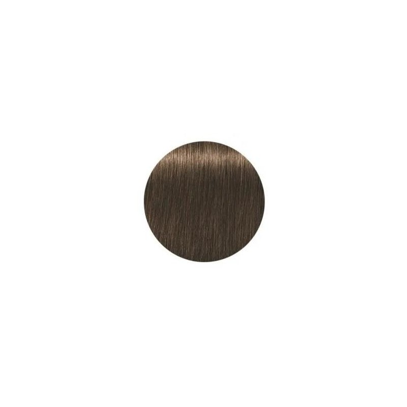 Schwarzkopf Igora Royal  5.50 Absolutes Castaño Claro Dorado Natural