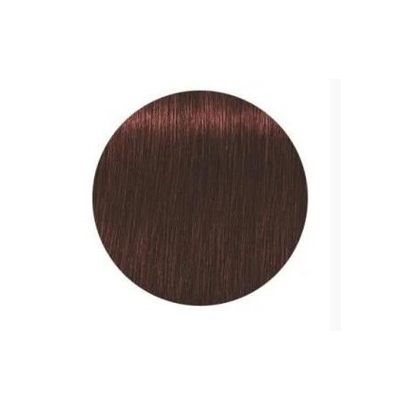 Schwarzkopf Igora Royal  5.80 Absolutes Castaño Claro Rojo Natural