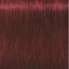 Schwarzkopf Igora Royal  5.88 Castaño Claro Rojo Intenso