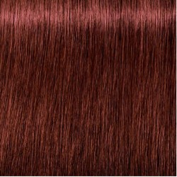 Schwarzkopf Igora Royal...