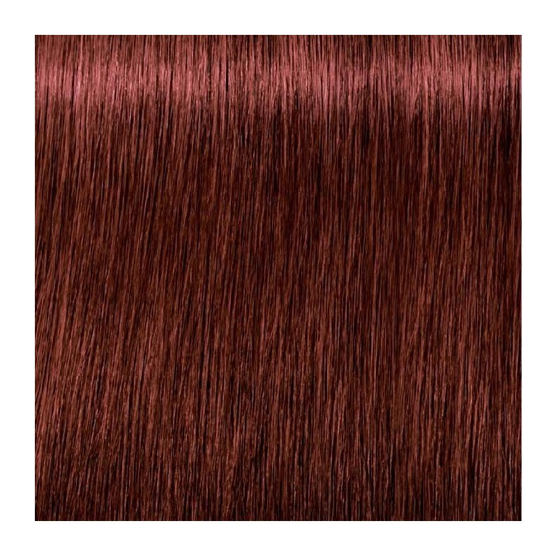 Schwarzkopf Igora Royal  5.99 Castaño Claro Violeta Intenso