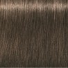 Schwarzkopf Igora Royal  6. 0 Rubio Oscuro Natural