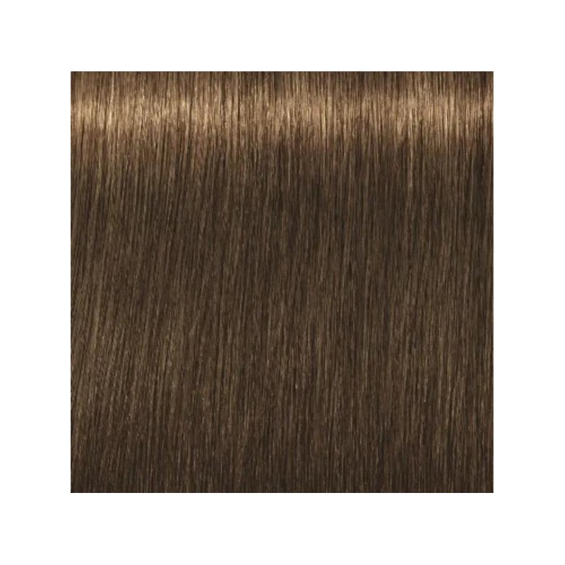 Schwarzkopf Igora Royal  6. 4 Rubio Oscuro Cobrizo