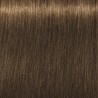 Schwarzkopf Igora Royal  6. 4 Rubio Oscuro Cobrizo