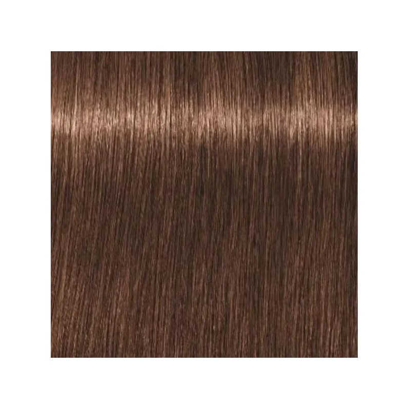 Schwarzkopf Igora Royal  6. 6 Rubio Oscuro Chocolate