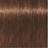 Schwarzkopf Igora Royal  6. 6 Rubio Oscuro Chocolate