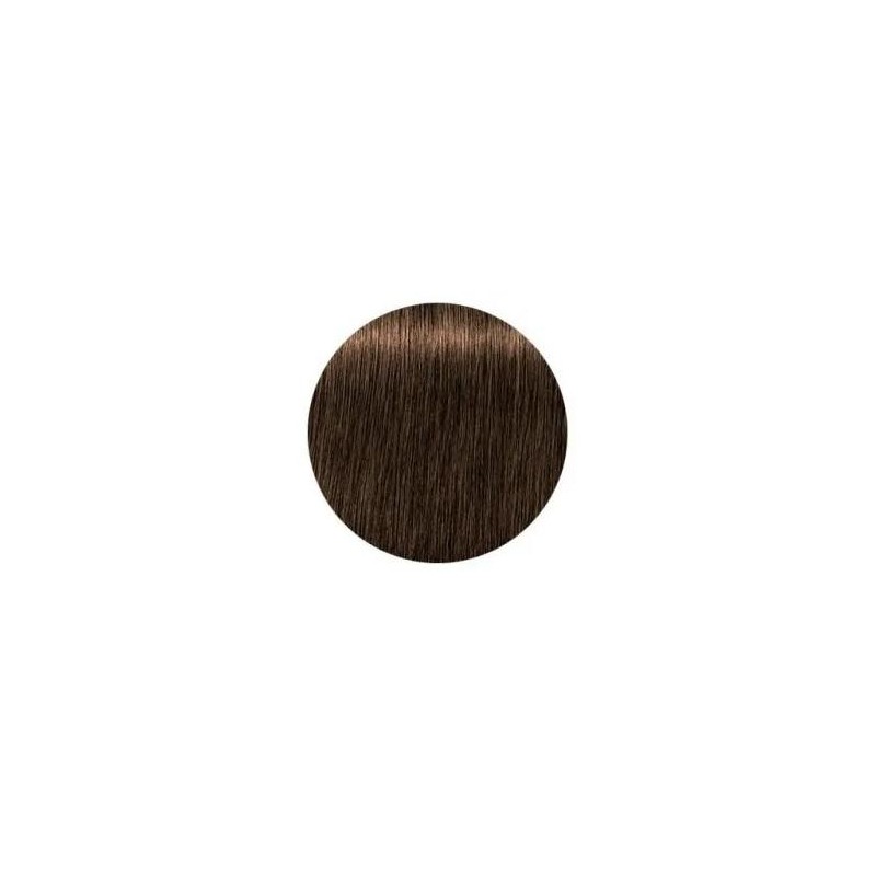 Schwarzkopf Igora Royal  6.50 Absolutes Rubio Oscuro Dorado Natural