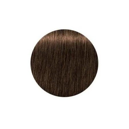 Schwarzkopf Igora Royal  6.50 Absolutes Rubio Oscuro Dorado Natural