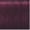 Schwarzkopf Igora Royal  6.99 Rubio Oscuro Violeta Intenso