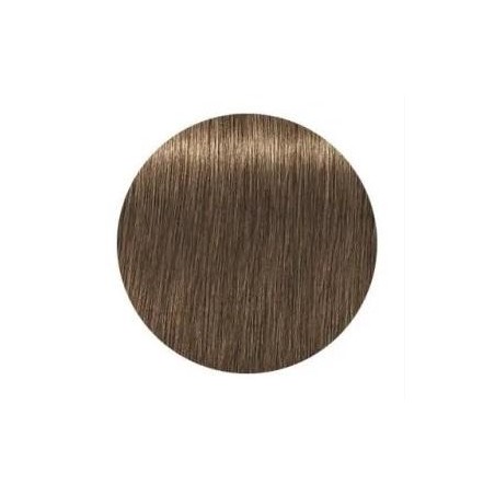 Schwarzkopf Igora Royal  7.50 Absolutes Rubio Medio Dorado Natural