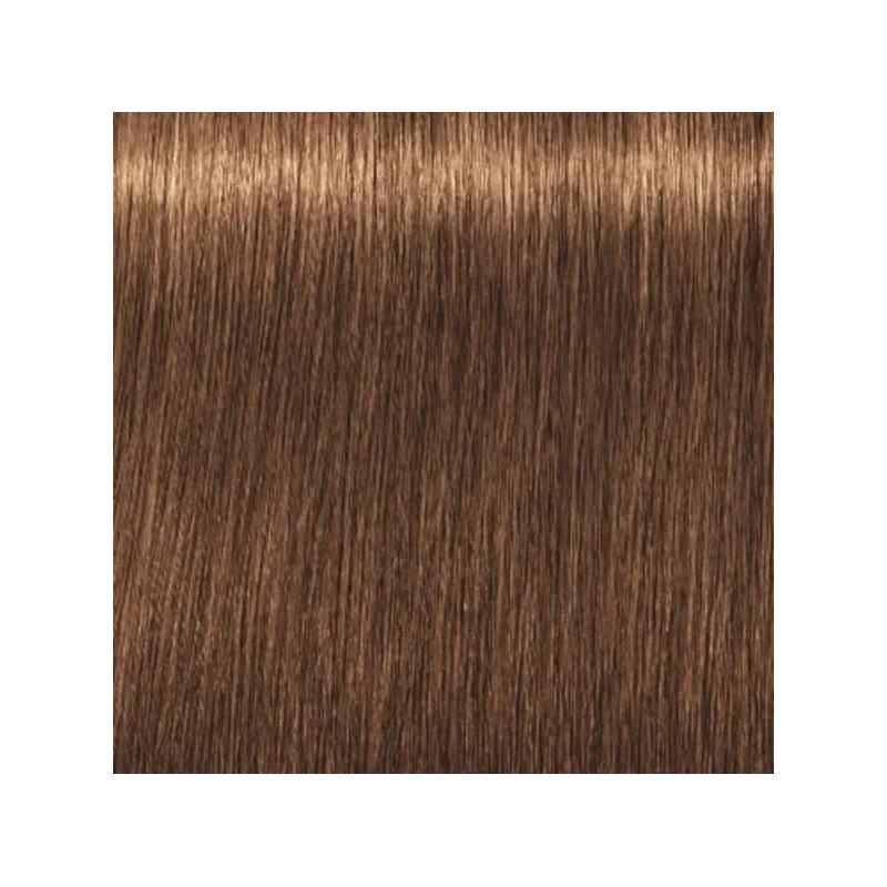 Schwarzkopf Igora Royal  7.55 Rubio Medio Dorado Intenso