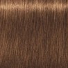 Schwarzkopf Igora Royal  7.55 Rubio Medio Dorado Intenso