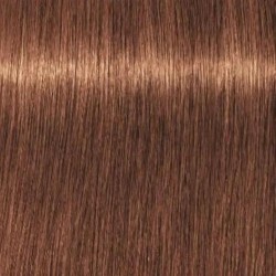 Schwarzkopf Igora Royal...