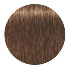 Schwarzkopf Igora Royal...
