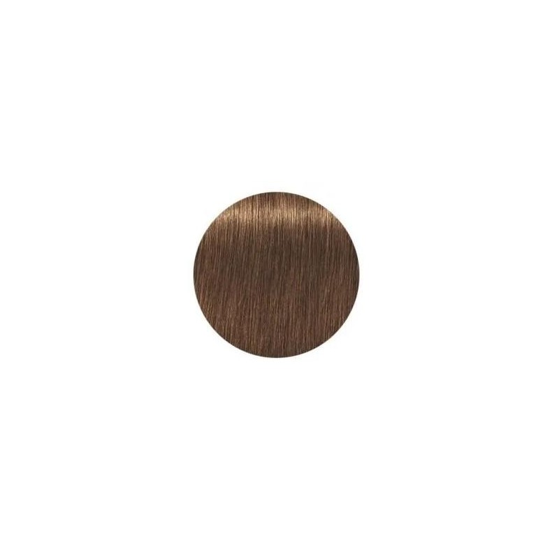 Schwarzkopf Igora Royal  7.60 Absolutes Rubio Medio Chocolate Natural