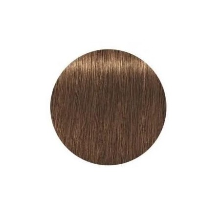 Schwarzkopf Igora Royal  7.60 Absolutes Rubio Medio Chocolate Natural