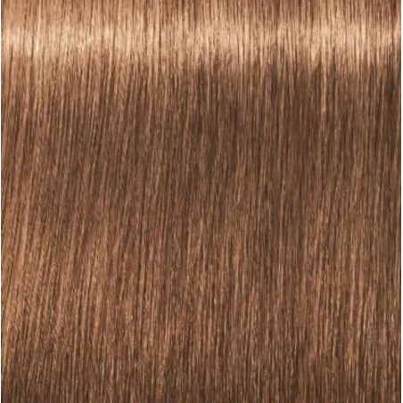 Schwarzkopf Igora Royal  7.65 Rubio Medio Chocolate Dorado