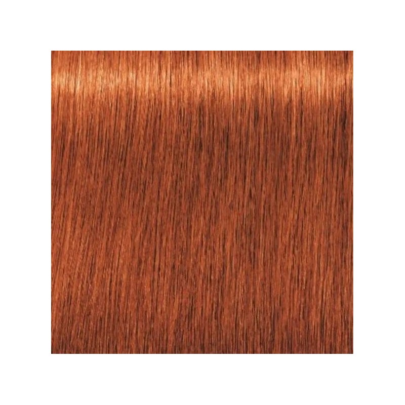 Schwarzkopf Igora Royal  7.77 Rubio Medio Cobrizo Intenso