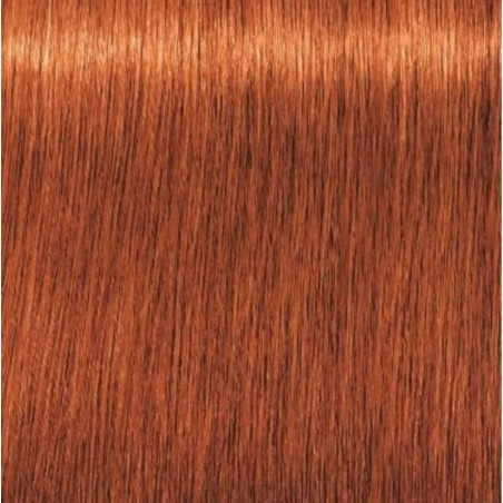 Schwarzkopf Igora Royal  7.77 Rubio Medio Cobrizo Intenso
