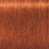 Schwarzkopf Igora Royal  7.77 Rubio Medio Cobrizo Intenso