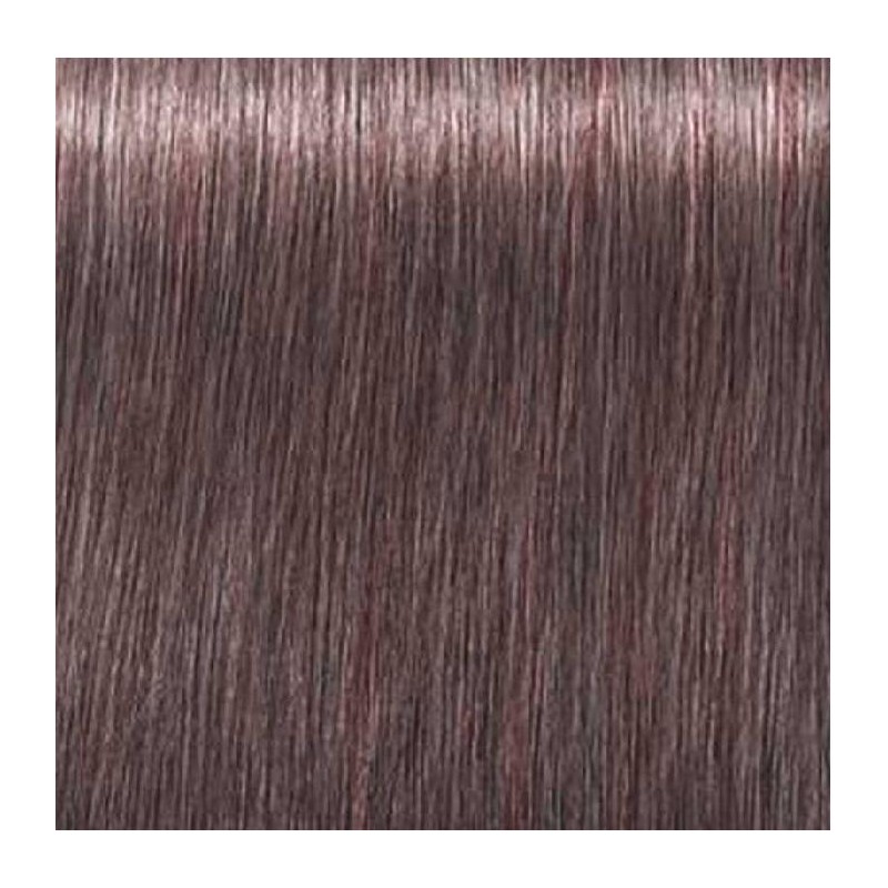 Schwarzkopf Igora Royal  8.19 Rubio Claro Ceniza Violeta