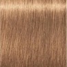 Schwarzkopf Igora Royal  8.65 Rubio Claro Chocolate Dorado
