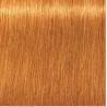 Schwarzkopf Igora Royal  9. 7 Rubio Muy Claro Cobrizo