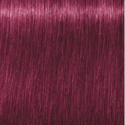 Schwarzkopf Igora Royal...