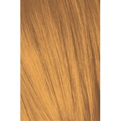 Schwarzkopf Igora Royal...
