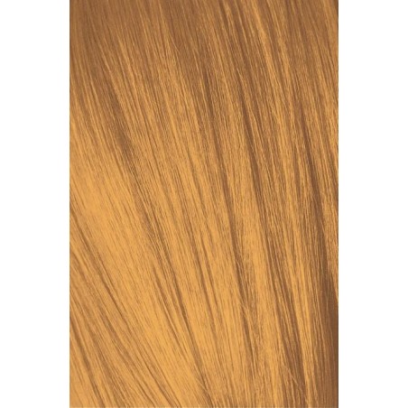 Schwarzkopf Igora Royal  0.55 Tono Mezcla Dorado