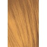Schwarzkopf Igora Royal  0.55 Tono Mezcla Dorado