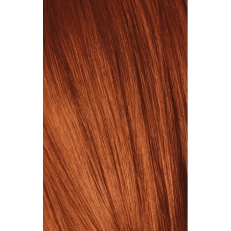 Schwarzkopf Igora Royal  0.77 Concentrado Cobre