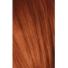 Schwarzkopf Igora Royal  0.77 Concentrado Cobre