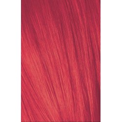 Schwarzkopf Igora Royal...