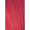 Schwarzkopf Igora Royal  0.88 Tono Mezcla Rojo