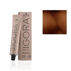 Schwarzkopf Igora Royal...